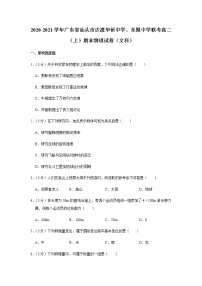 2020-2021学年广东省汕头市达濠华侨中学、东厦中学联考高二（上）期末物理试卷（文科）