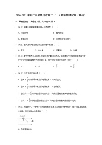 2020-2021学年广东省惠州市高二（上）期末物理试卷（理科）