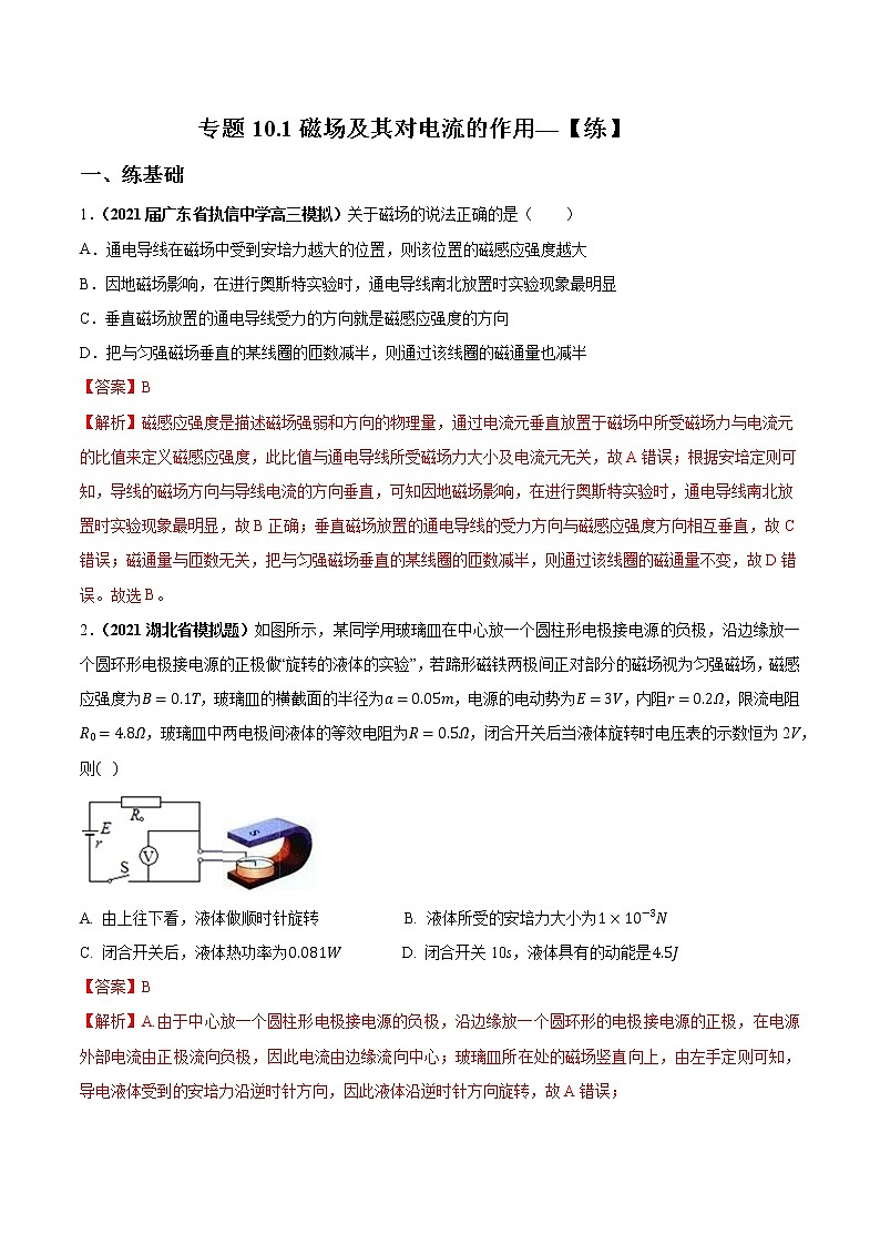 专题10.1 磁场及其对电流的作用—【练】解析版第1页