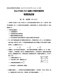 四川省乐山市十校2021-2022学年高二上学期期中考试物理【试卷+答案】