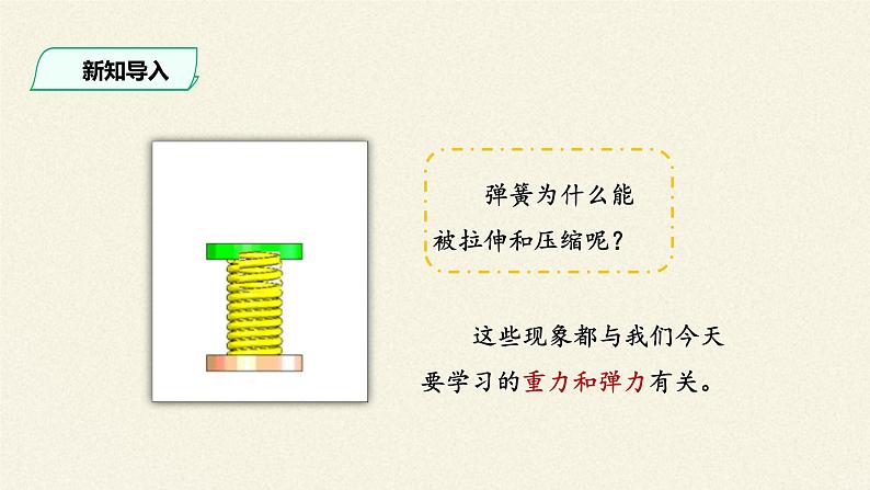 3.1 重力与弹力课件PPT03