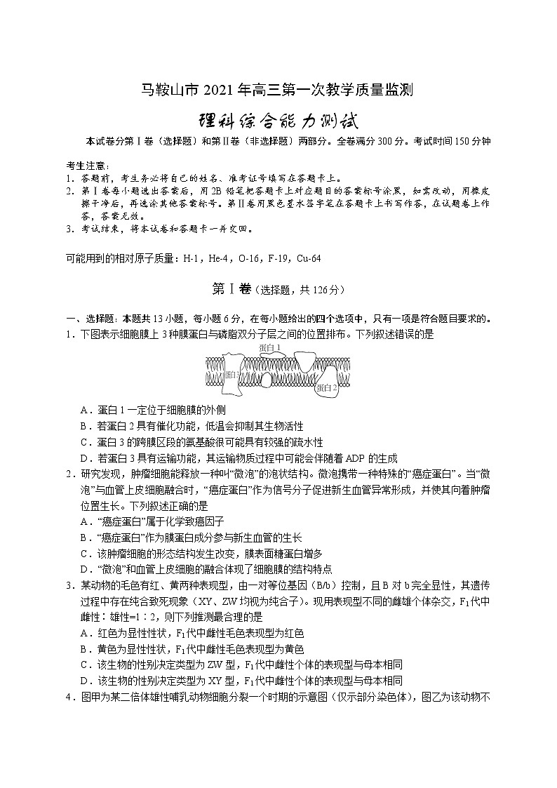 安徽省马鞍山市2021届高三下学期一模考试理科综合试题 Word版含答案01