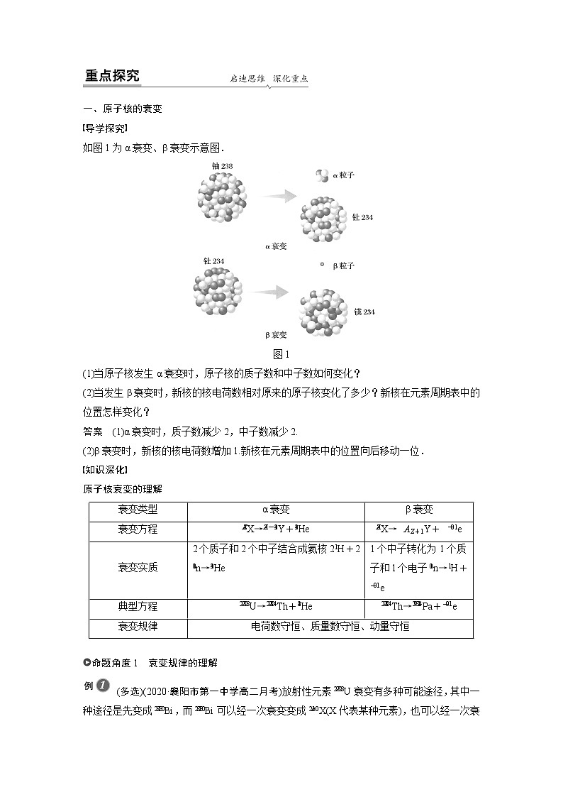2022年高中物理（新教材）新人教版同步学案第五章 2 第1课时　原子核的衰变　半衰期第2页