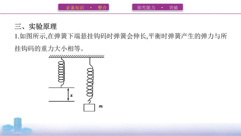 实验_探究弹簧弹力与形变量的关系课件PPT03