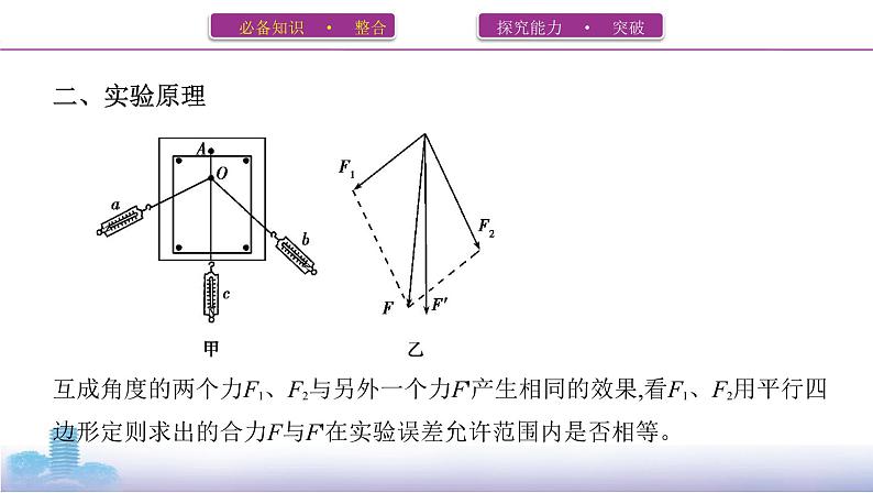 实验_探究两个互成角度的力的合成规律课件PPT03