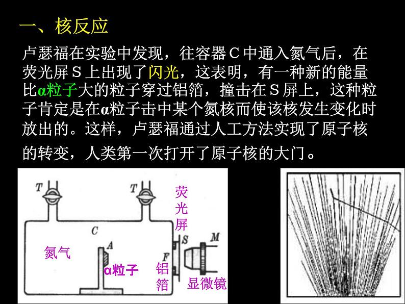 物理新课标教科版（选修3-5）19.4 放射性的应用与防护 课件（共23张PPT）02