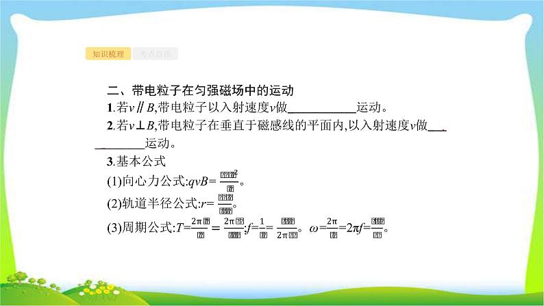 高考物理总复习9.2磁场对运动电荷的作用课件PPT05