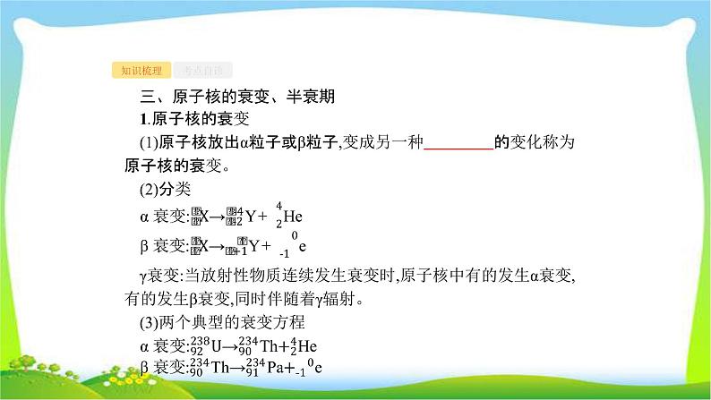 高考物理总复习12.3原子核及核反应课件PPT04