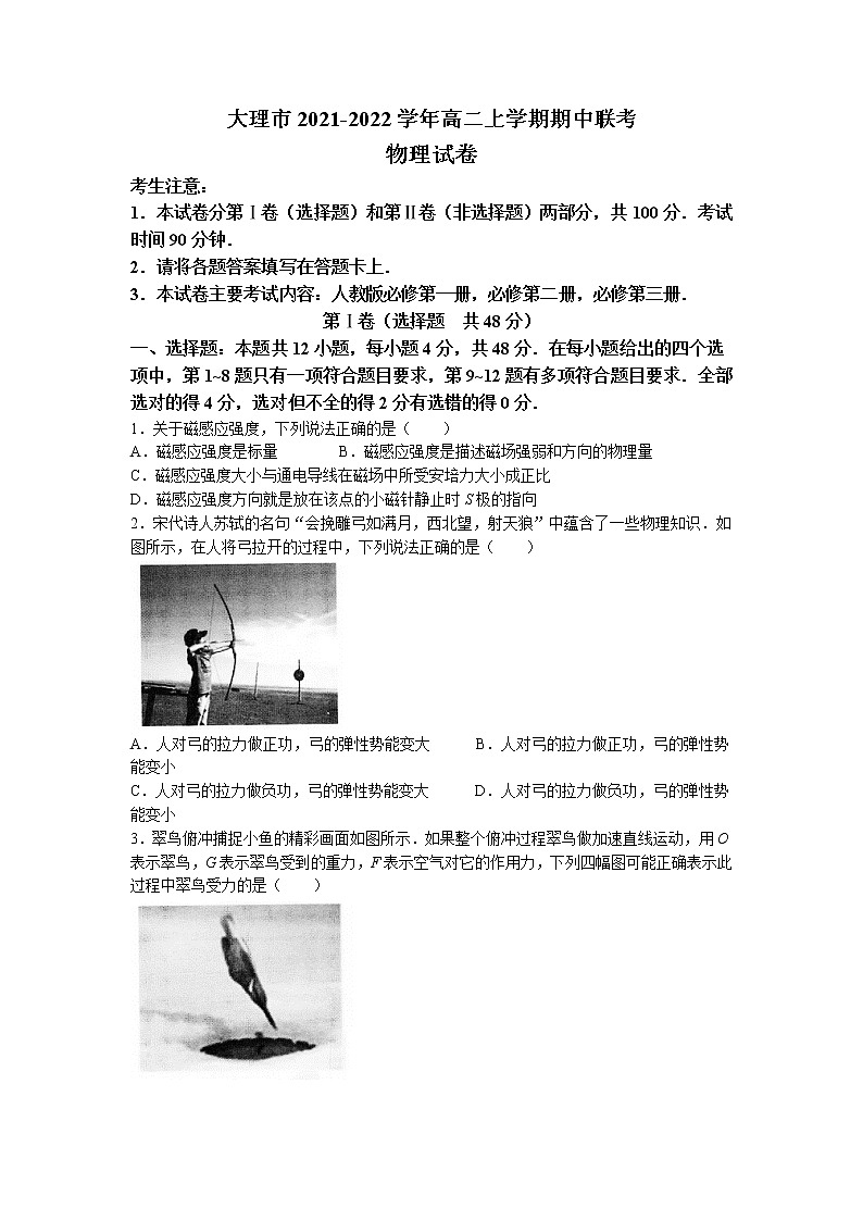 2021-2022学年云南省大理市高二上学期期中联考物理试题 解析版第1页
