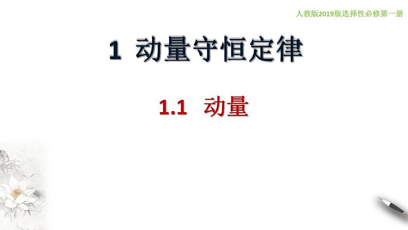 【同步课件】（人教版2019）高中物理选修第一册-第一章1.1 动量课件02