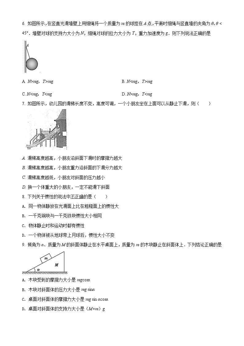 北京师大附中期末考试物理试题（原卷版）第2页
