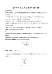 易错点03 重力 弹力 摩擦力 受力分析-备战2022年高考物理典型易错题辨析与精练学案