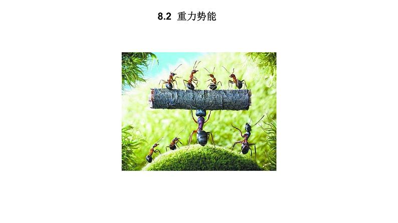 8.2重力势能课件—【新教材】人教版（2019）高中物理必修第二册01