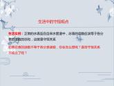 必修2物理新教材人教第八章84机械能守恒定律ppt_21
