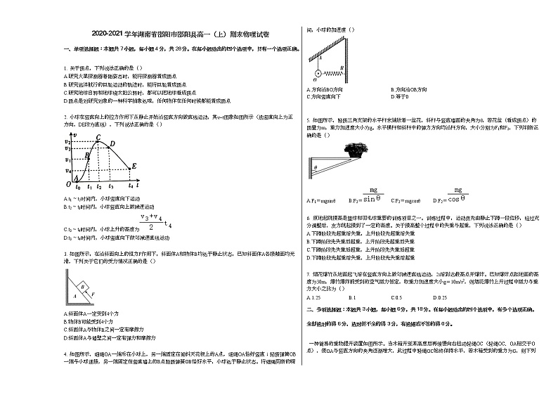 2020-2021学年湖南省邵阳市邵阳县高一（上）期末物理试卷人教版（2019）01