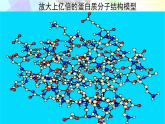 选择性必修第三册物理6新教材人教版第一章1分子动理论的基本内容ppt_3