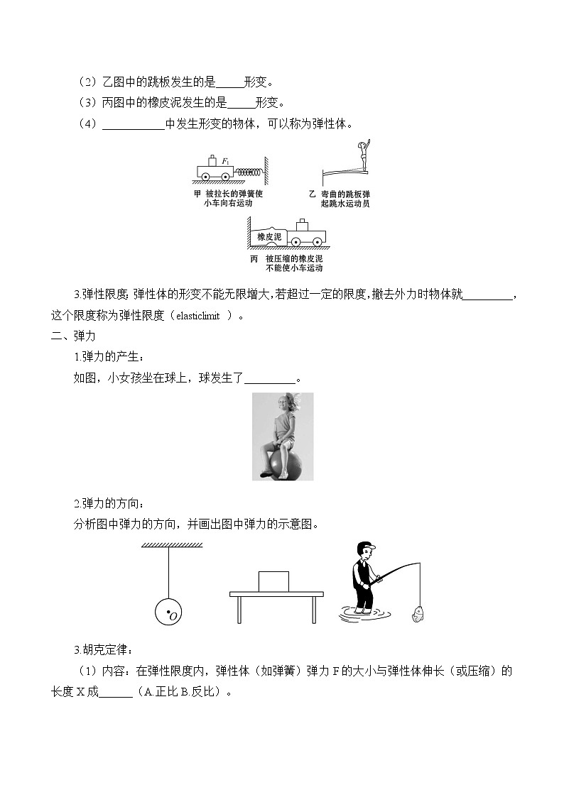 科学探究：弹力学案02