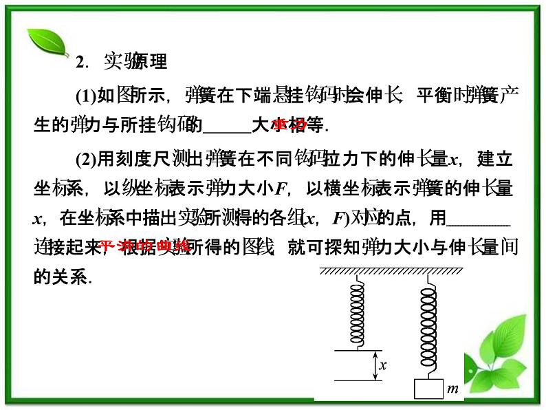 高考物理总复习 （人教版） 知识研习课件 第2章第4讲 实验：探究弹力和弹簧伸长的关系04