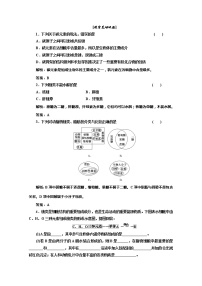 2021学年3 匀变速直线运动的位移与时间的关系巩固练习