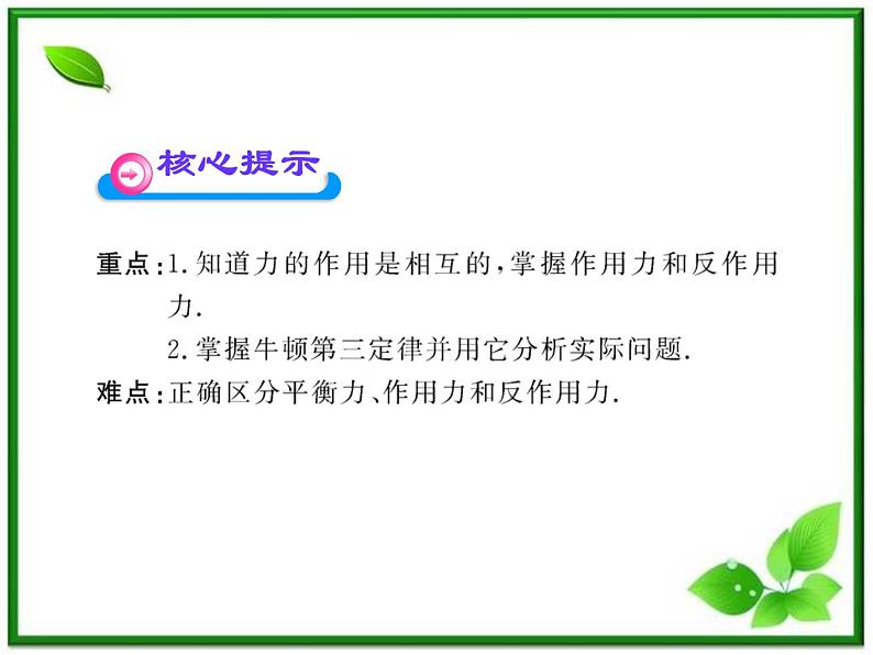 高中物理课时讲练通配套课件：4.5《牛顿第三定律》（人教版必修1）第3页