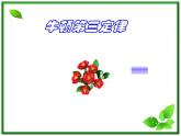 《牛顿第三定律》课件8（24张PPT）（人教版必修1）