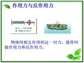 4.5《牛顿第三定律》课件（人教版必修1）
