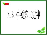 2020-2021学年5 牛顿第三定律示范课ppt课件