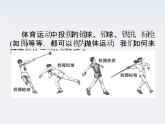 高一物理：5.3《抛体运动的规律》课件（人教版必修2）