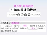 高中物理（新人教必修二）同步课件：5.3《抛体运动的规律》
