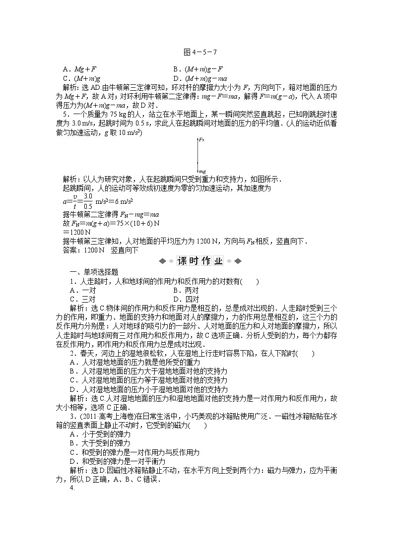 年物理人教版必修1（广东专用）第四章第五节《牛顿第三定律》知能演练第2页