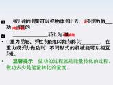 高一物理：7.8《机械能守恒定律》课件4（新人教）必修二