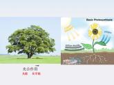 《能量守恒定律与能源》课件6（20张PPT）（人教版必修2）