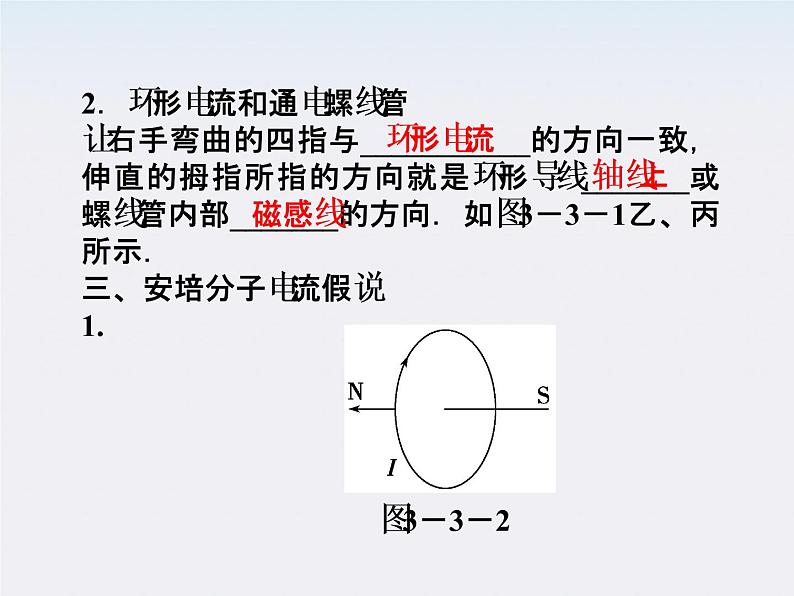 2011高二物理：3.3　几种常见的磁场_课件（人教版选修3-1）第6页