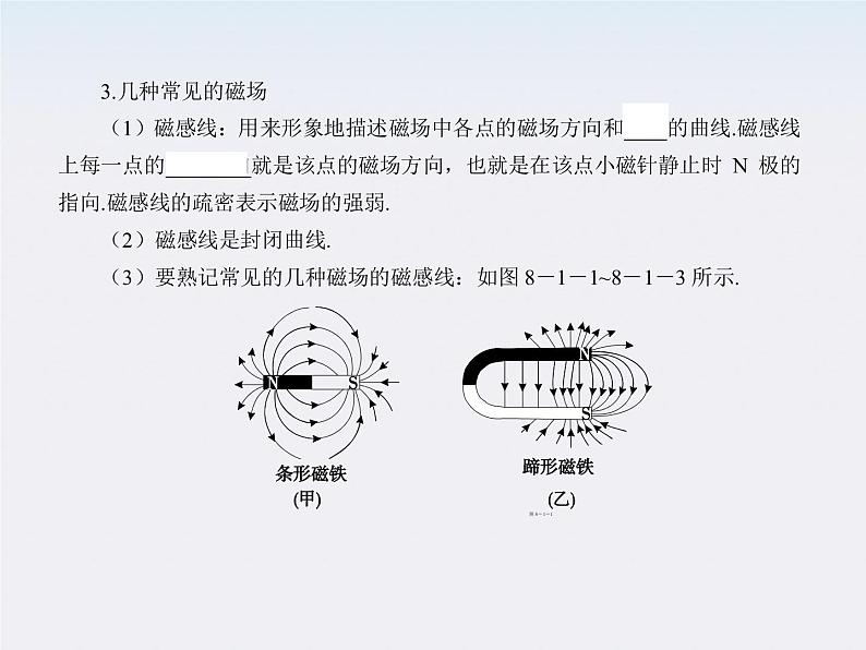 【】届高三物理复习课件（29）   磁场的描述第2页