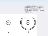 浙江省天台县育青中学高二物理《电荷及电荷守恒定律》课件