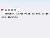 高考物理一轮复习（人教版）精品课件实验6