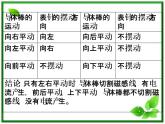 物理：4.2《探究电磁感应的产生条件》课件2（人教版选修3-2）