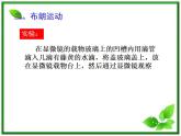 《分子的热运动》课件3（10张PPT）（新人教版选修3-3）