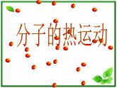 《分子的热运动》课件5（30张PPT）（新人教版选修3-3）