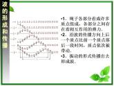 物理：12.1《波的形成和传播》课件（新人教版选修3-4）