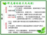 江苏省徐州市铜山县夹河中学高三物理 18.3《氢原子光谱》课件