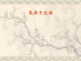 《氢原子光谱》课件六（14张PPT）