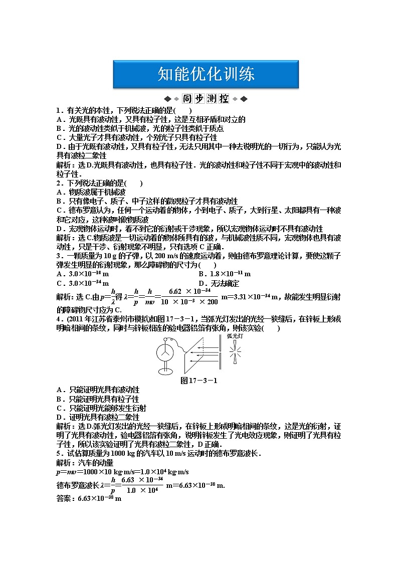 物理：人教版选修3-5 第17章第三节《崭新的一页：粒子的波动性》优化训练第1页