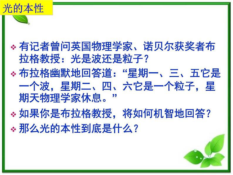 《粒子的波动性》课件二（24张PPT）第2页