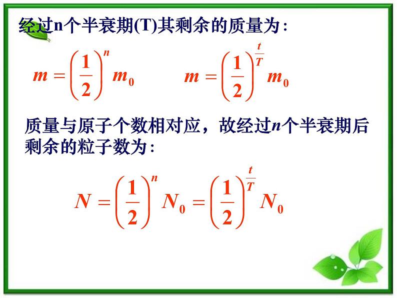 《放射性元素的衰变》课件三（12张PPT）（新人教版选修3-5）第6页