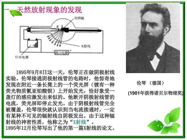 陕西省宁强县天津高级中学高二物理：3.2《原子核衰变及半衰期》课件（人教版选修3-5）第2页