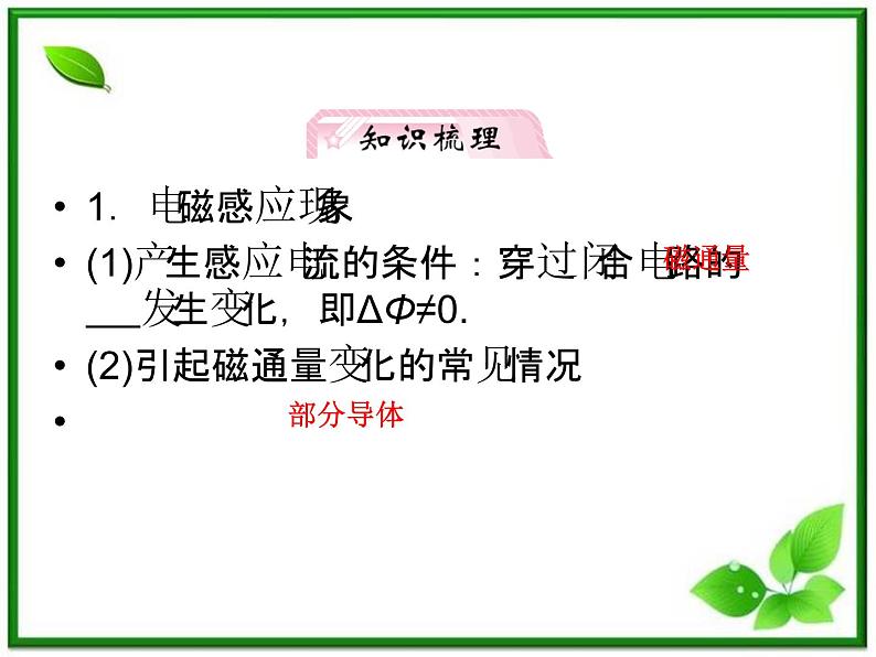 高考物理人教版选修3-2 9.1《电磁感应现象 电磁感应定律及应用》课件08