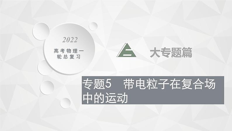 22届高中物理一轮总复习专题5　带电粒子在复合场中的运动（新高考）第1页