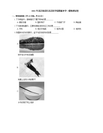 2021年北京海淀区北京医学院附属中学一模物理试卷