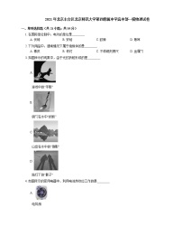 2021年北京丰台区北京师范大学第四附属中学高中部一模物理试卷